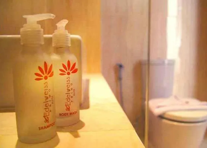 酒店 The Edelweiss Boutique 庫塔